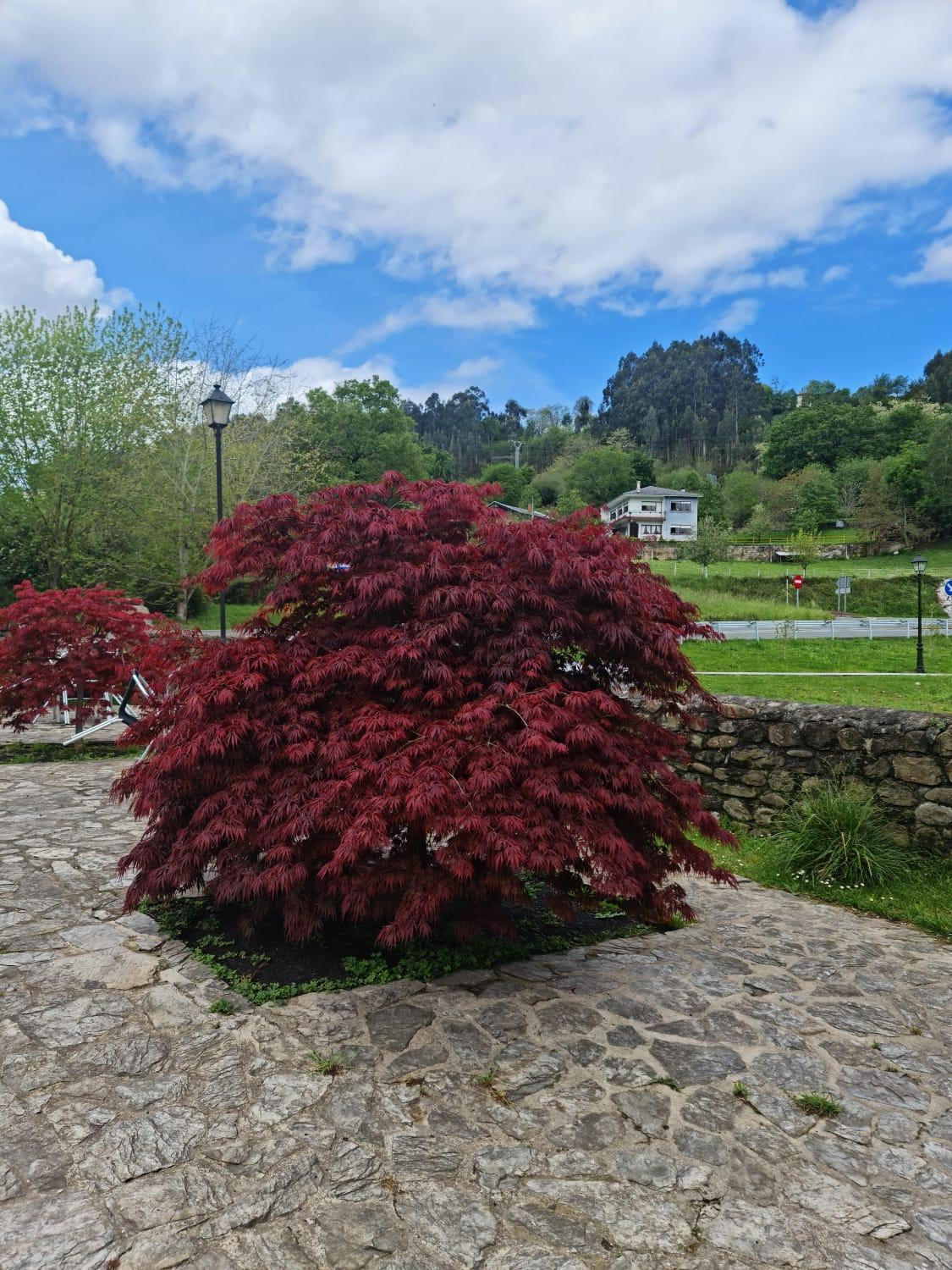 Posada Las Mozas Riocorvo Екстер'єр фото
